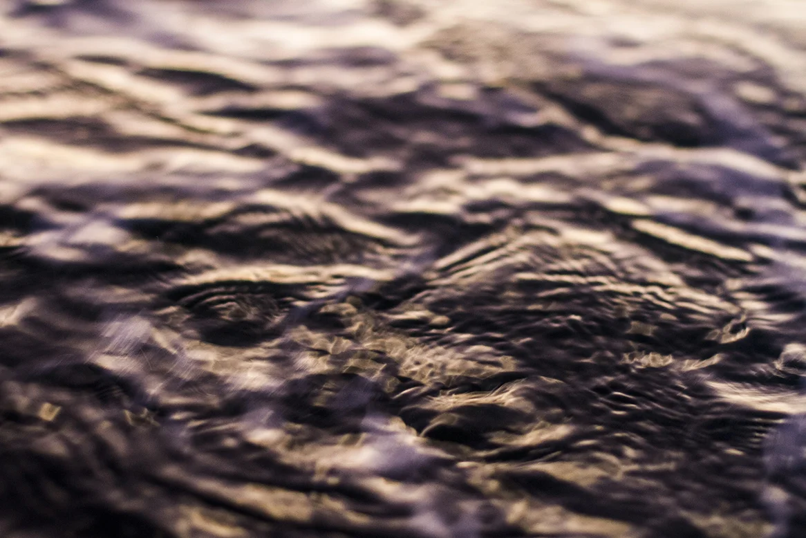 IMG_0070 emperor and thunder fran-miller-photo.jpg