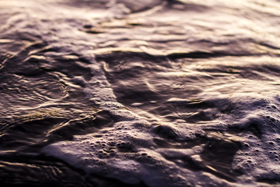 IMG_0073 emperor and thunder 2 fran-miller-photo.jpg