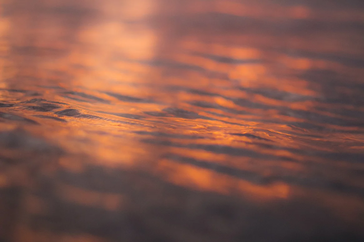 IMG_0896 burnt sienna fran-miller-photo.jpg