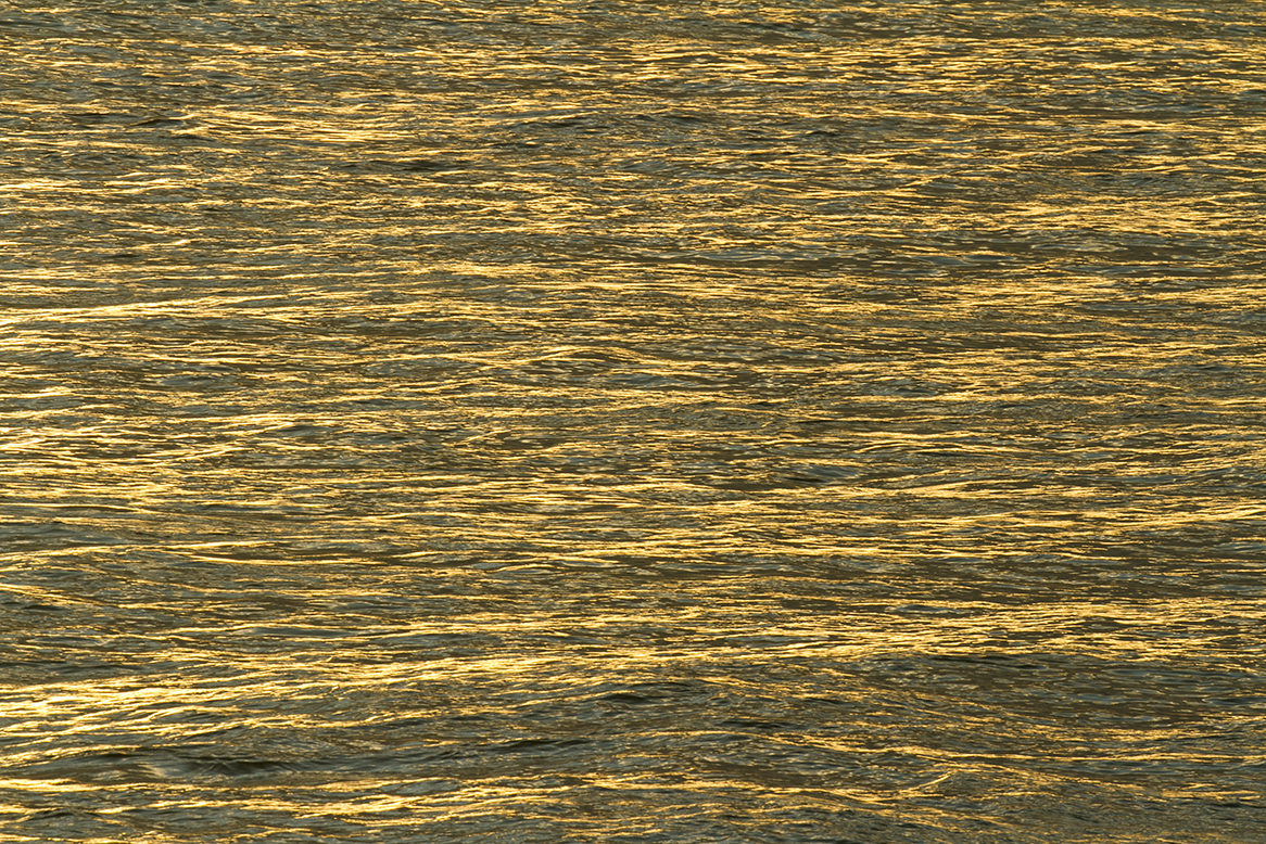 IMG_1132 del sol fran-miller-photo.jpg