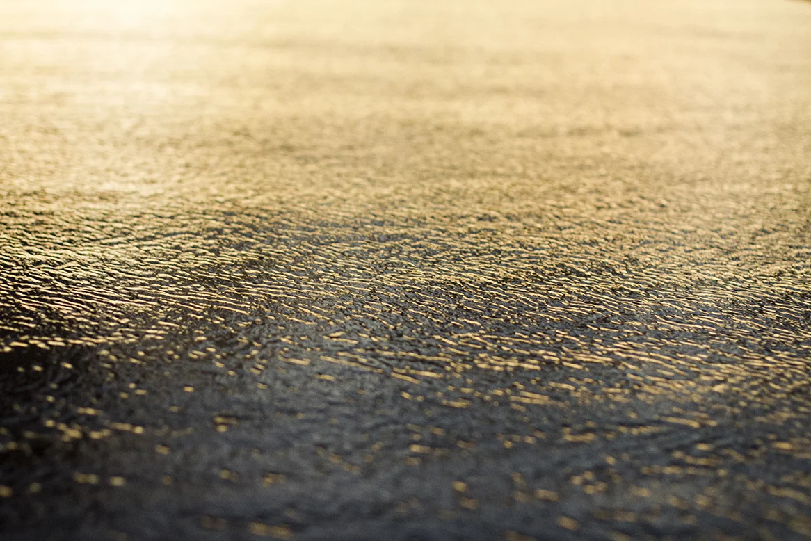 IMG_1268 calico fran-miller-photo.jpg