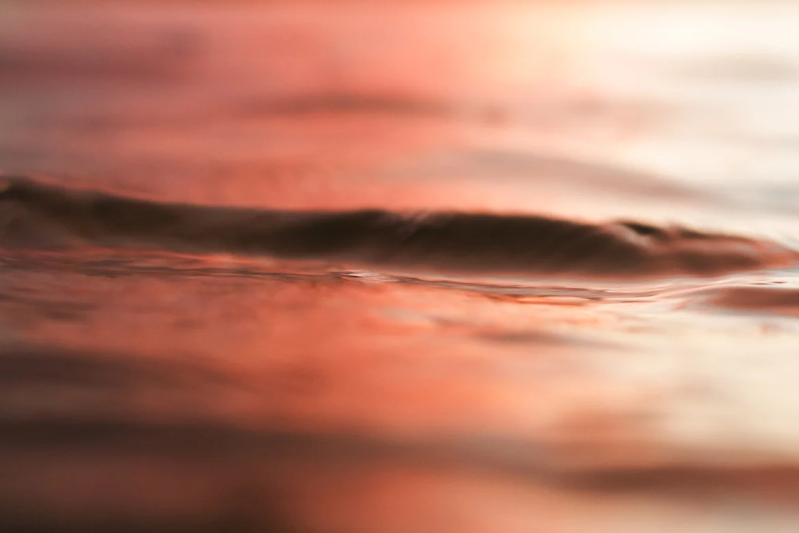 IMG_1456 terracotta fran-miller-photo.jpg