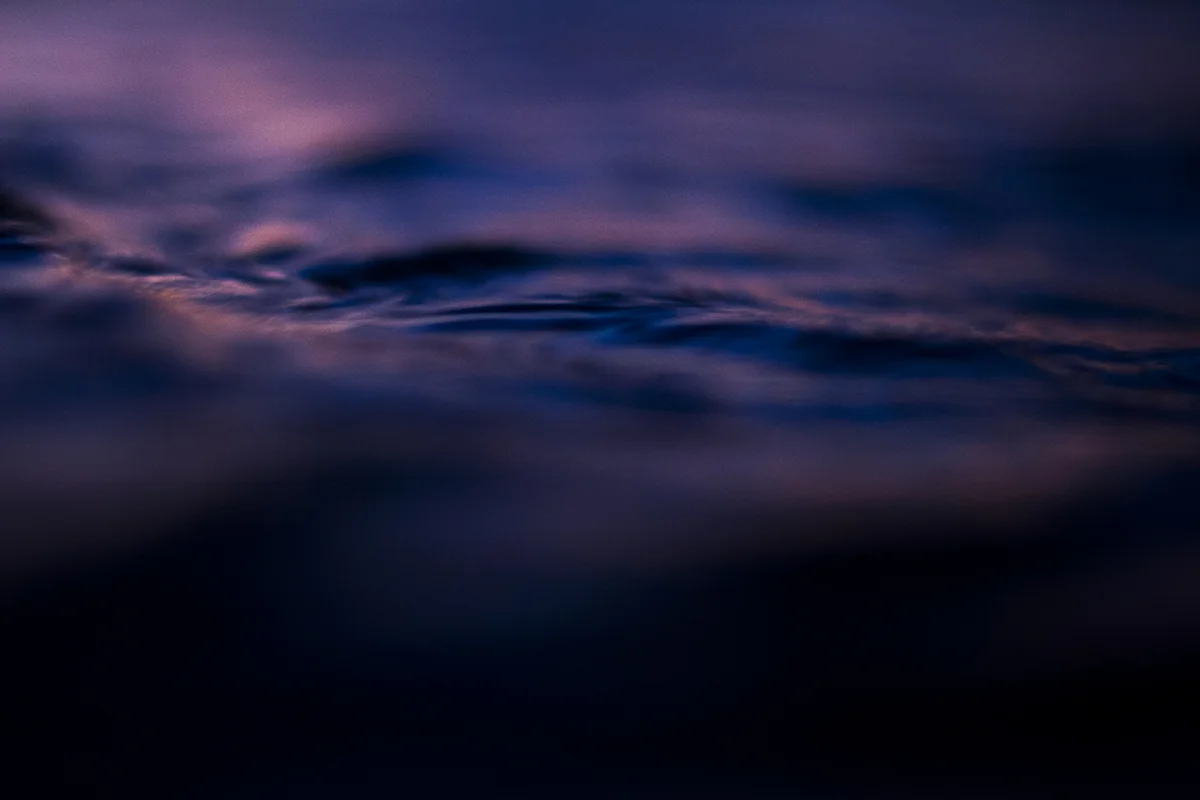 IMG_1525 midnight fran-miller-photo.jpg