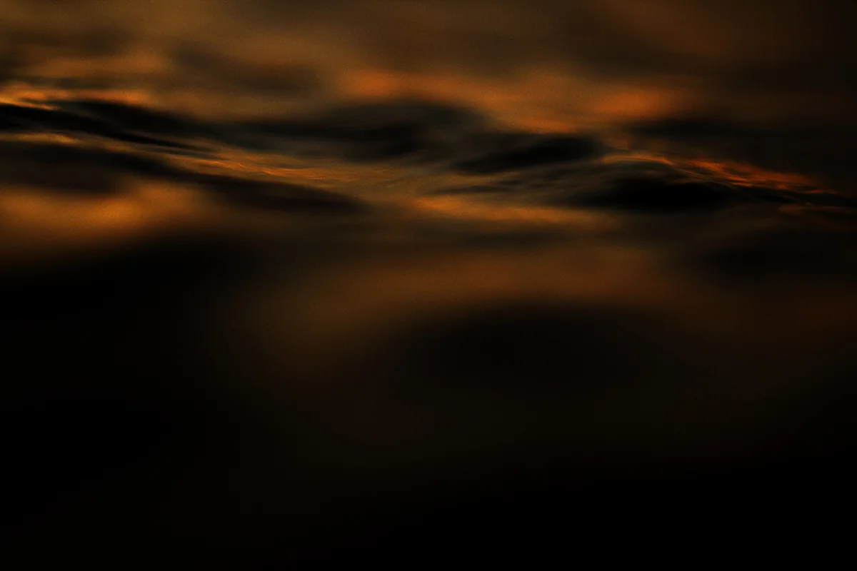 IMG_1526 korma fran-miller-photo.jpg