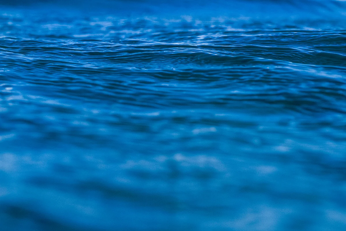 IMG_1802 lochmara fran-miller-photo.jpg