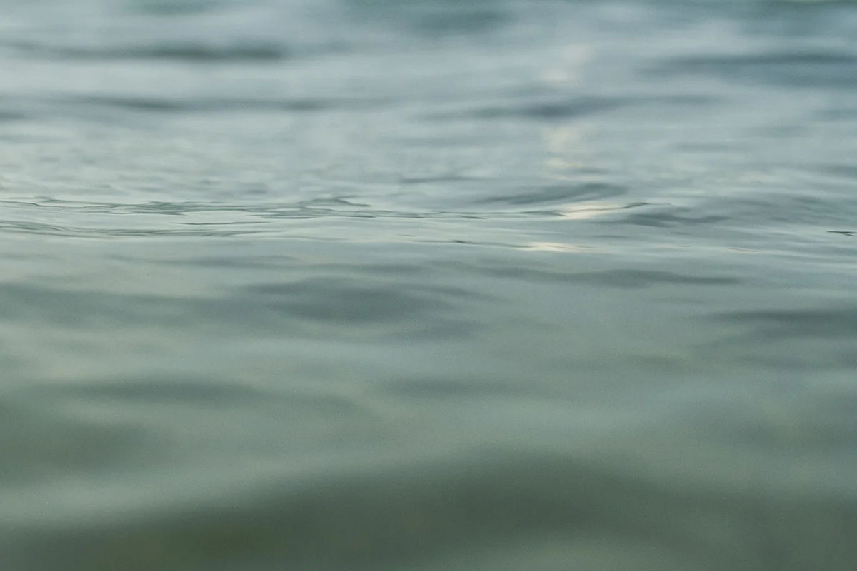 IMG_1812 edward fran-miller-photo.jpg