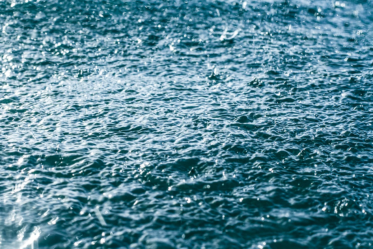 IMG_1831 orient fran-miller-photo.jpg