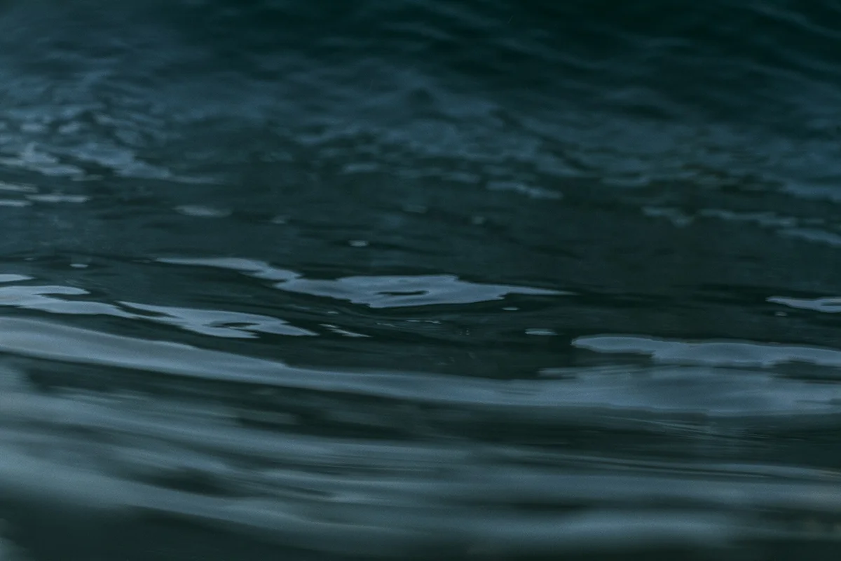 IMG_1918 aztec and fiord fran-miller-photo.jpg