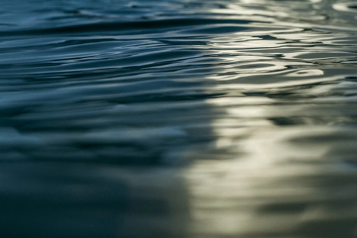 IMG_1921 tiber and mist fran-miller-photo.jpg