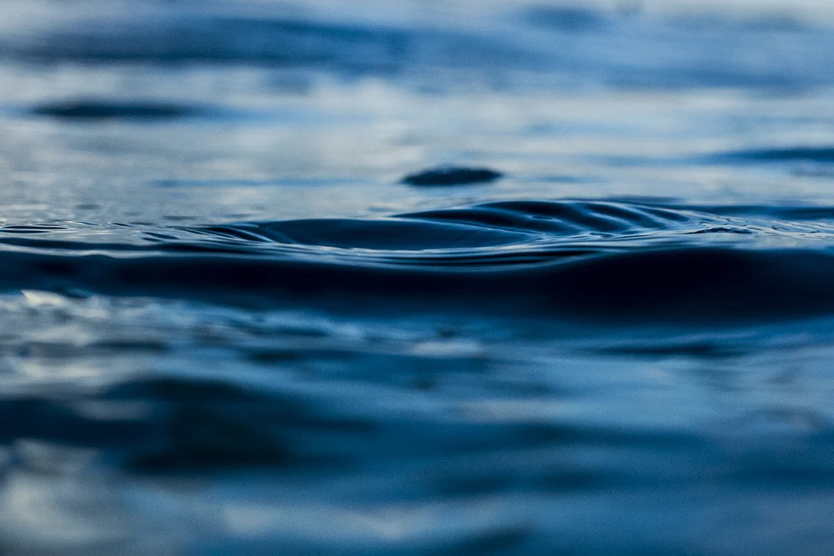 IMG_1956 prussian blues fran-miller-photo.jpg