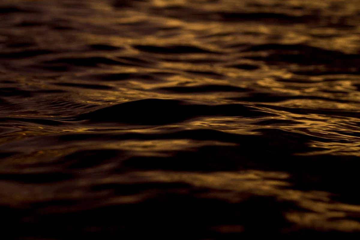 IMG_2387 kumera fran-miller-photo.jpg