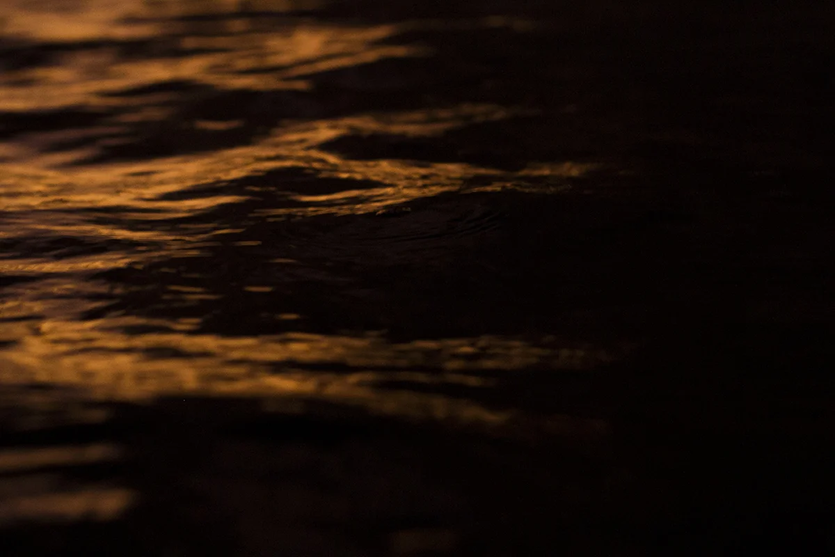 IMG_2394 russian and paarl fran-miller-photo.jpg