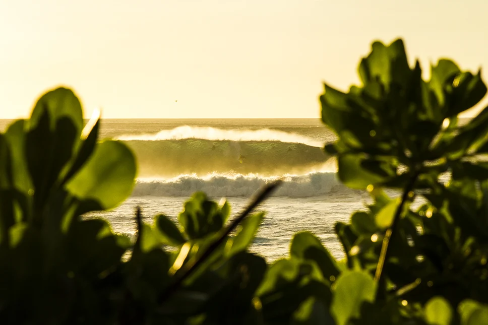 I am critical-fran-miller-photo-surf-art-IMG_1641.jpg