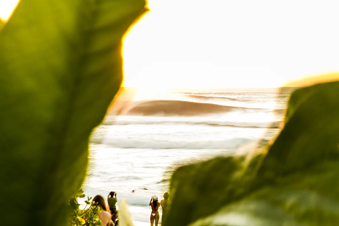 I am curvaceous-fran-miller-photo-surf-art-IMG_1681.jpg