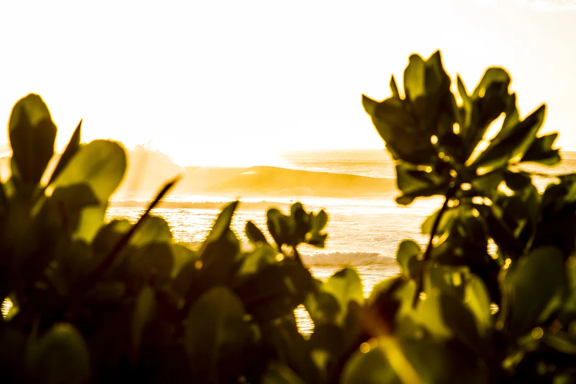 I am luminous-fran-miller-photo-surf-art-IMG_1668.jpg