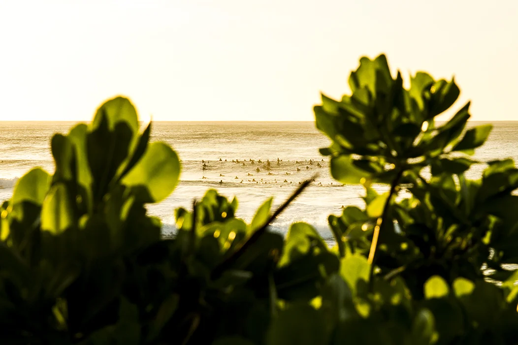 I am packed-fran-miller-photo-surf-art-IMG_1666.jpg