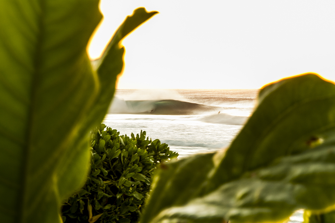 I am power-fran-miller-photo-surf-art-IMG_1683.jpg