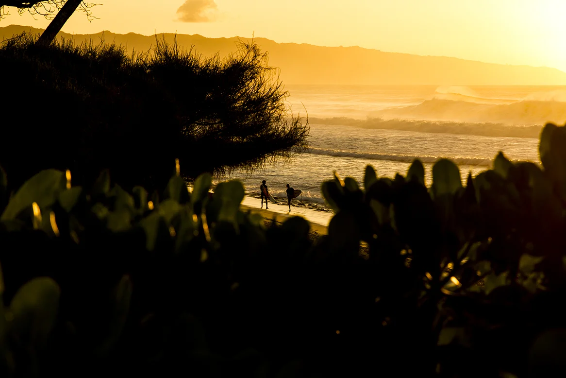 I am satisfied-fran-miller-photo-surf-art-IMG_1671.jpg