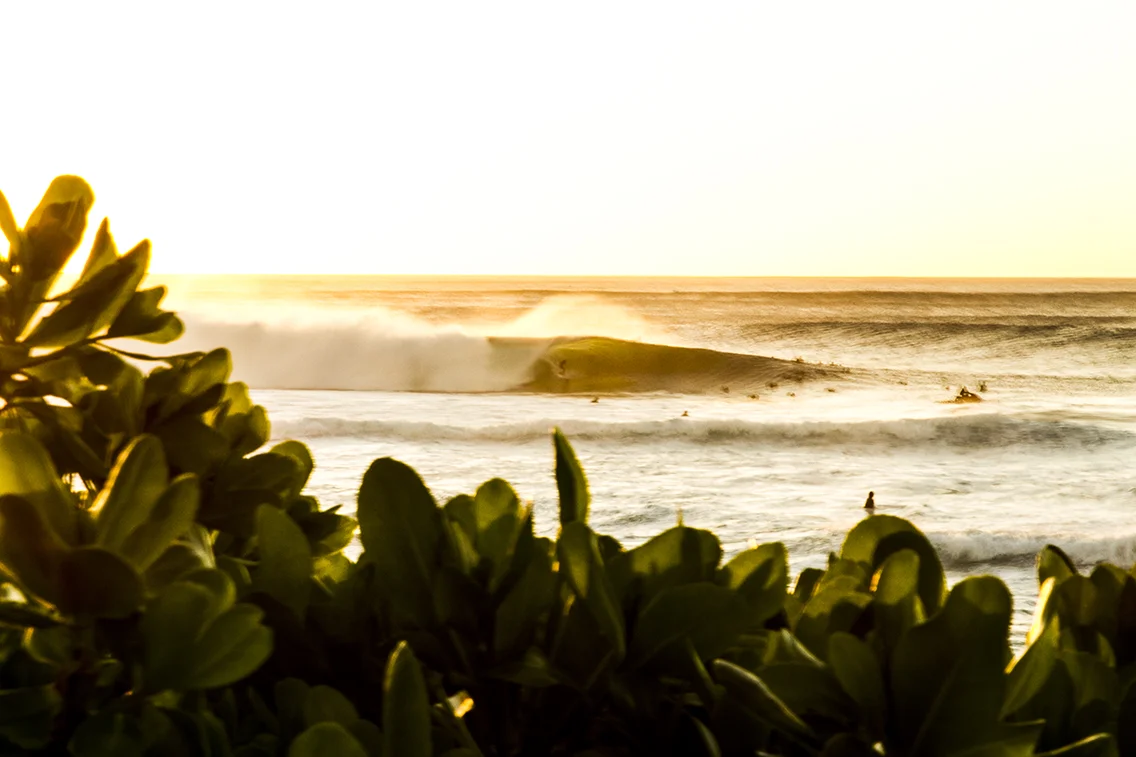 I am timeless-fran-miller-photo-surf-art-IMG_1676.jpg