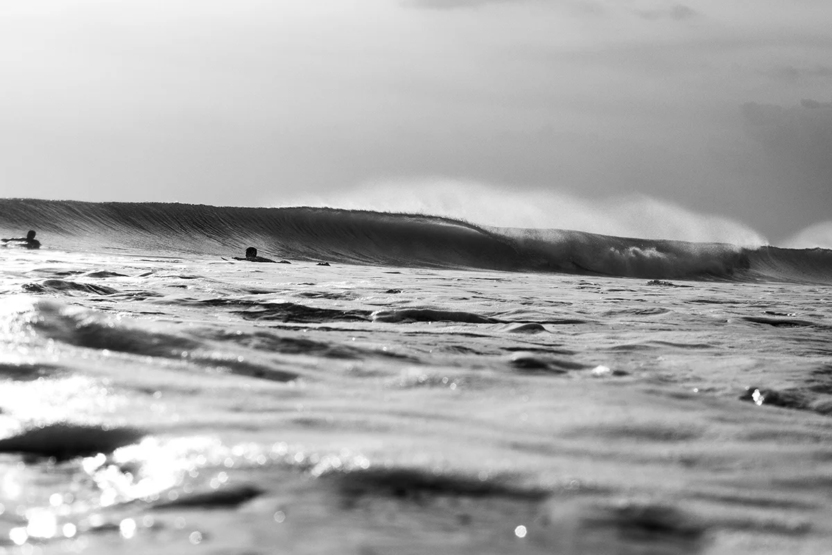 A view of Poppies-fran-miller-surf-photo-art-IMG_8207.jpg