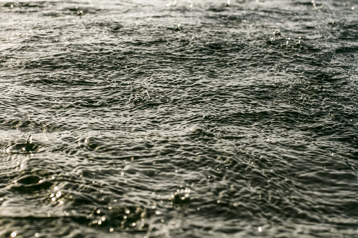 IMG_1832 heavy metal fran-miller-photo.jpg