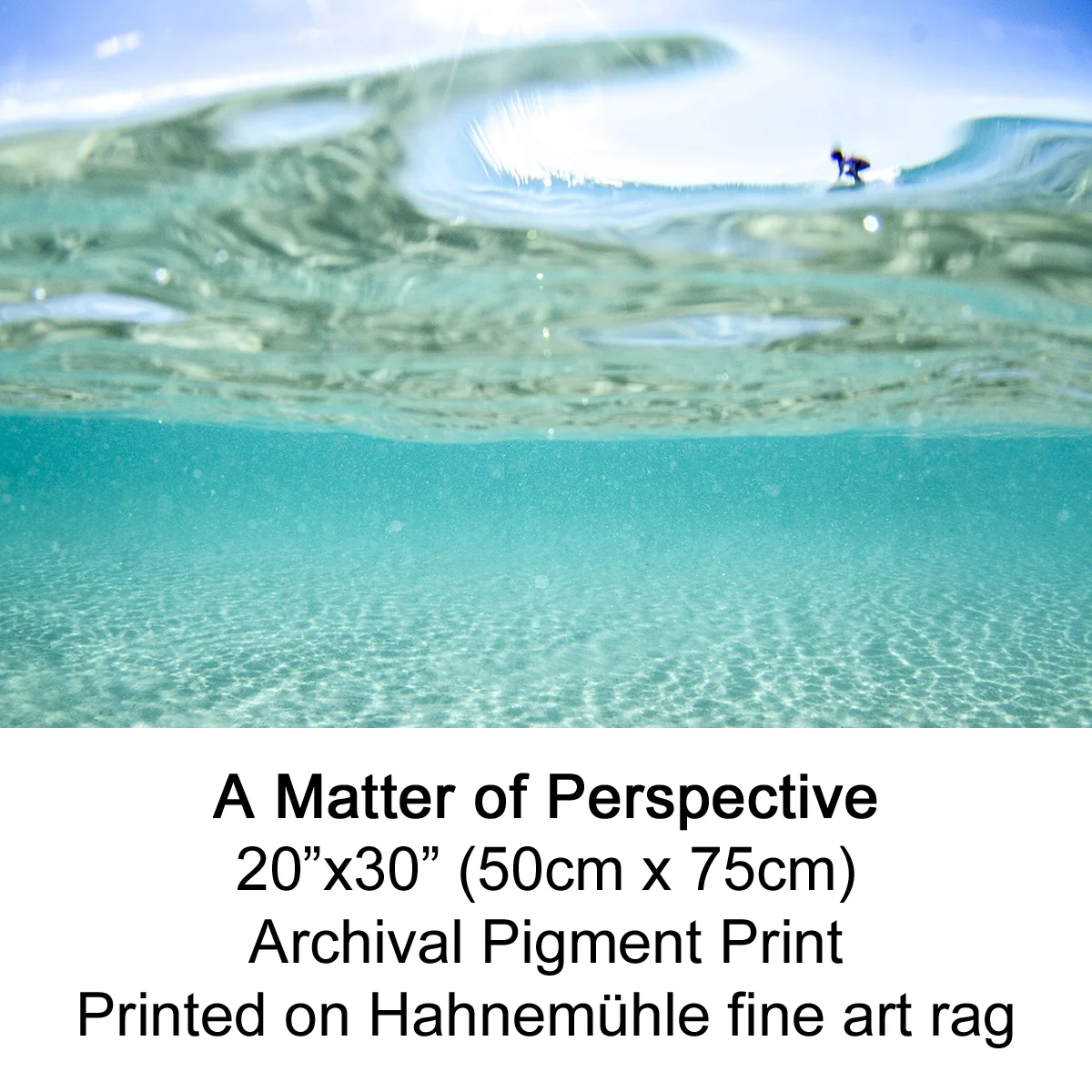 A Matter of Perspective by fran miller.jpg