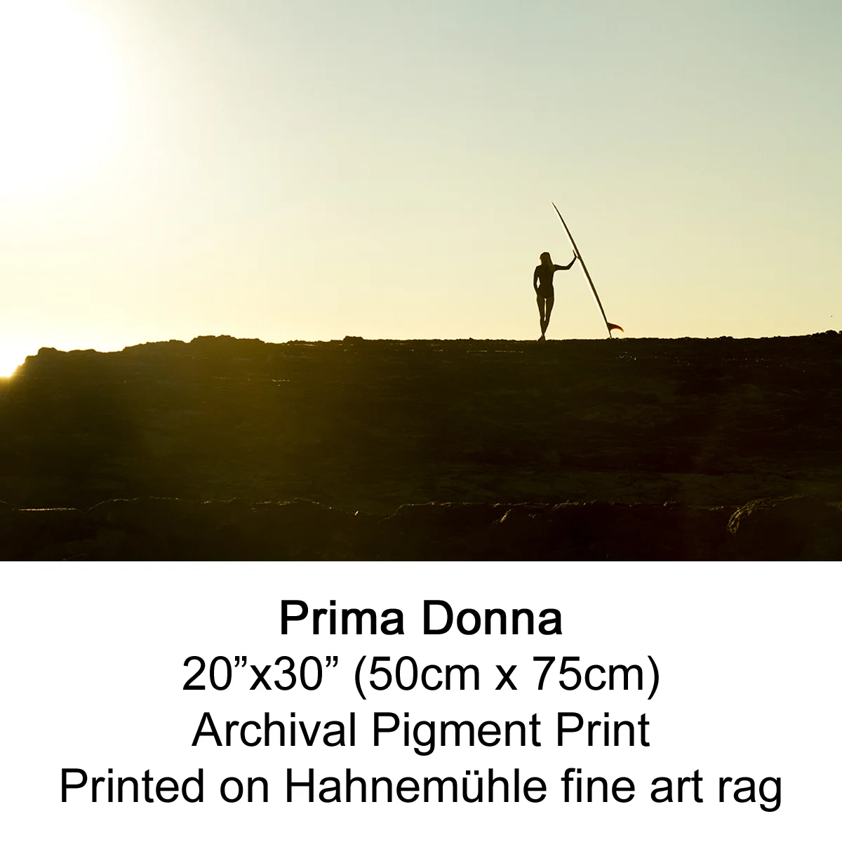 Prima Donna by fran miller.jpg