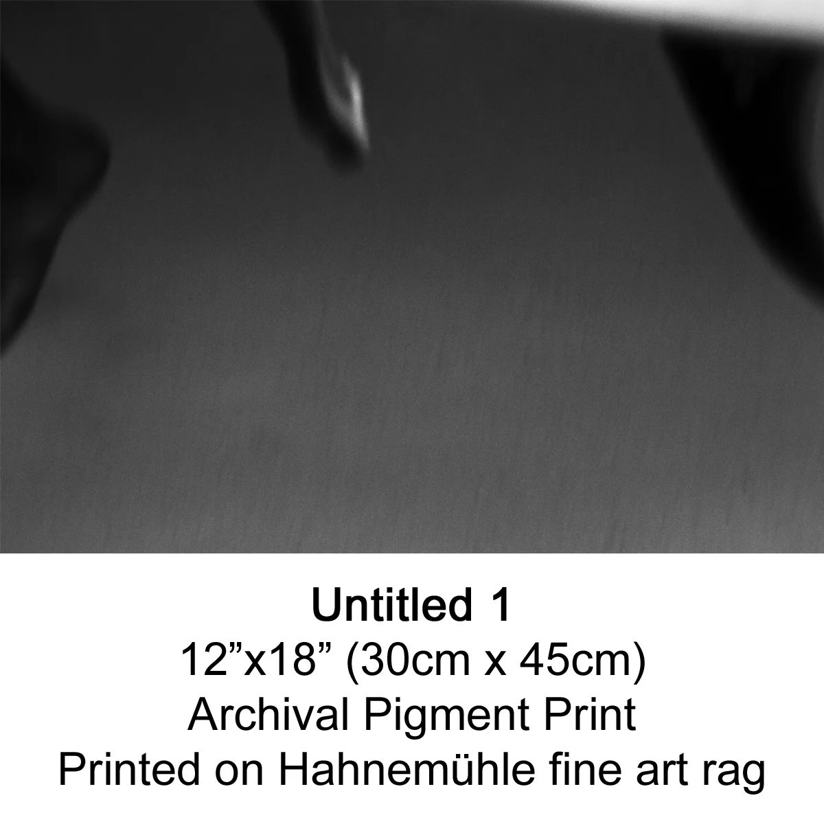 Untitled 1 by fran miller.jpg