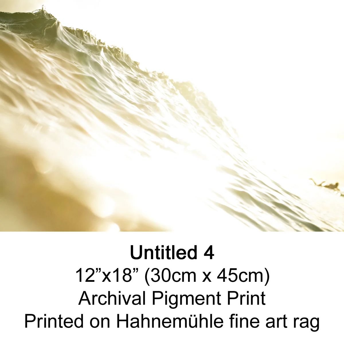 Untitled 4 by fran miller.jpg