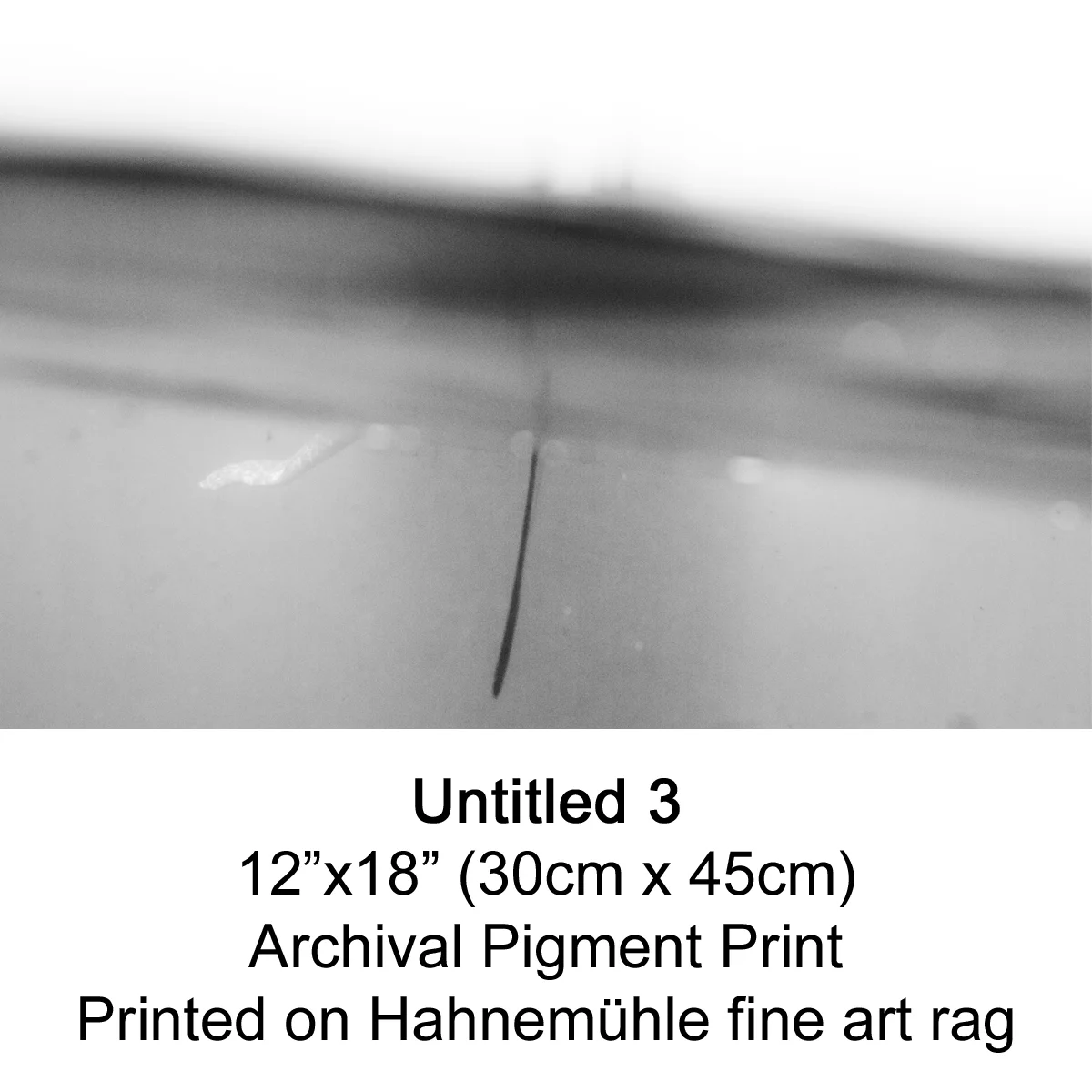 Untitled 3 by fran miller.jpg