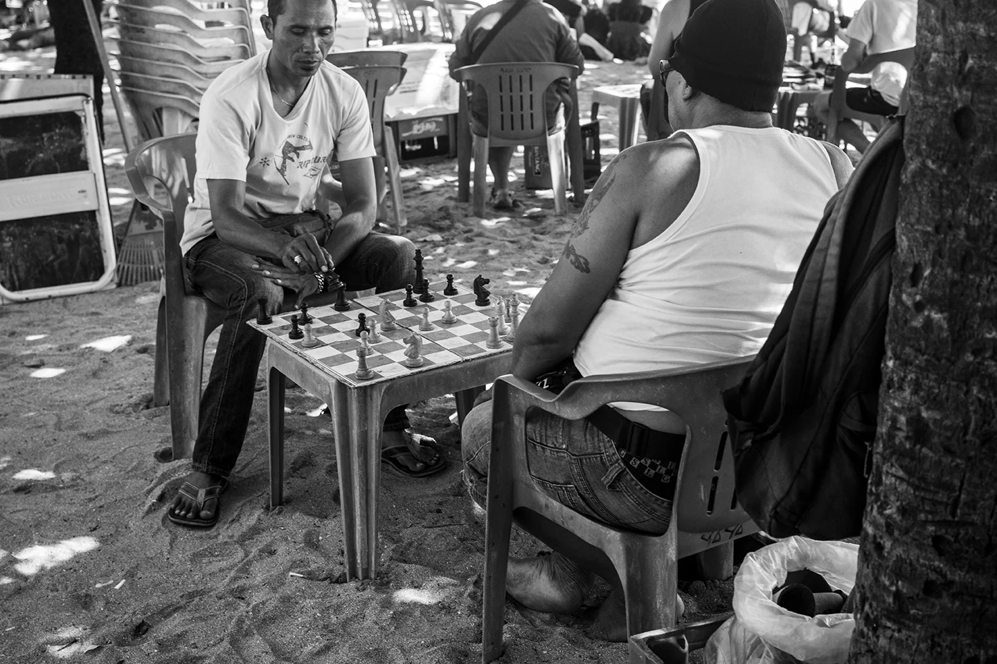 _DSC7057 by Fran Miller.jpg