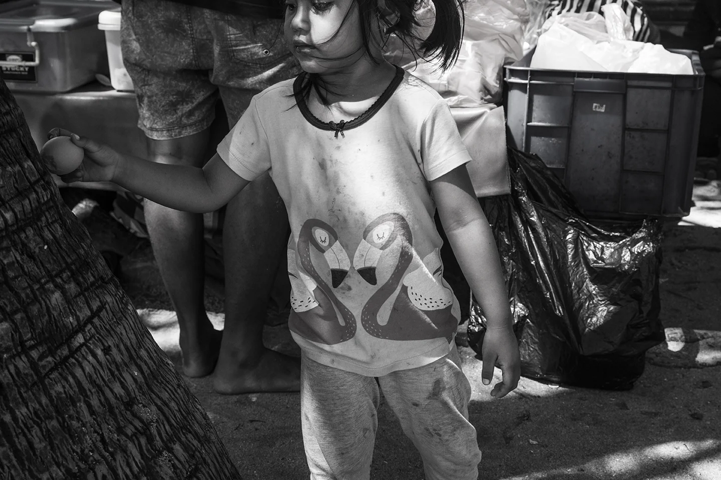 _DSC7000 by Fran Miller.jpg