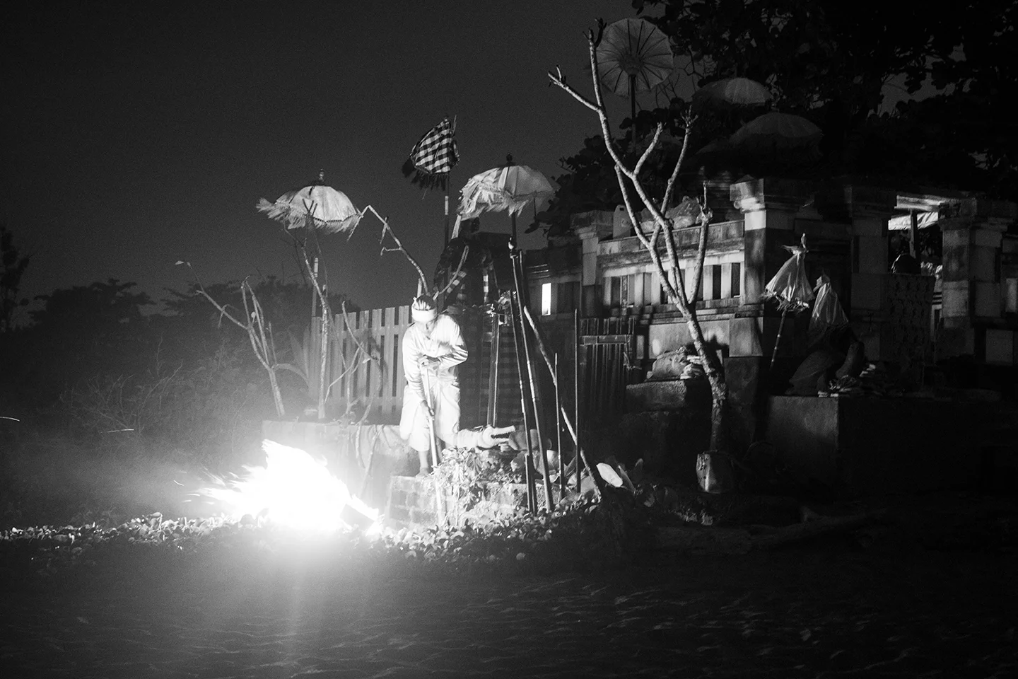 _DSC7657 by Fran Miller.jpg