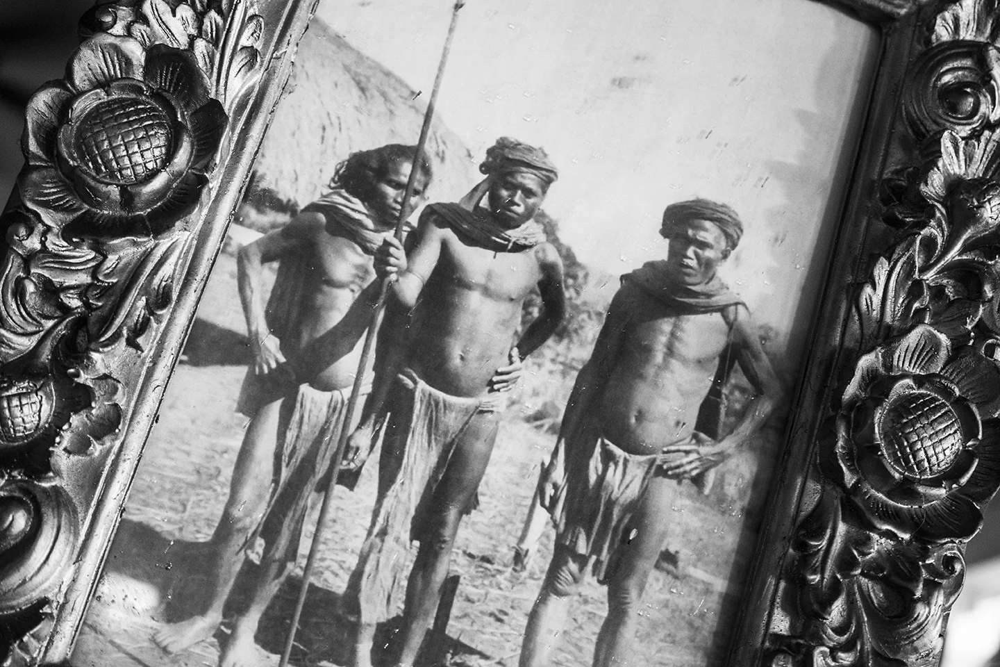 _DSC7610 by Fran Miller.jpg