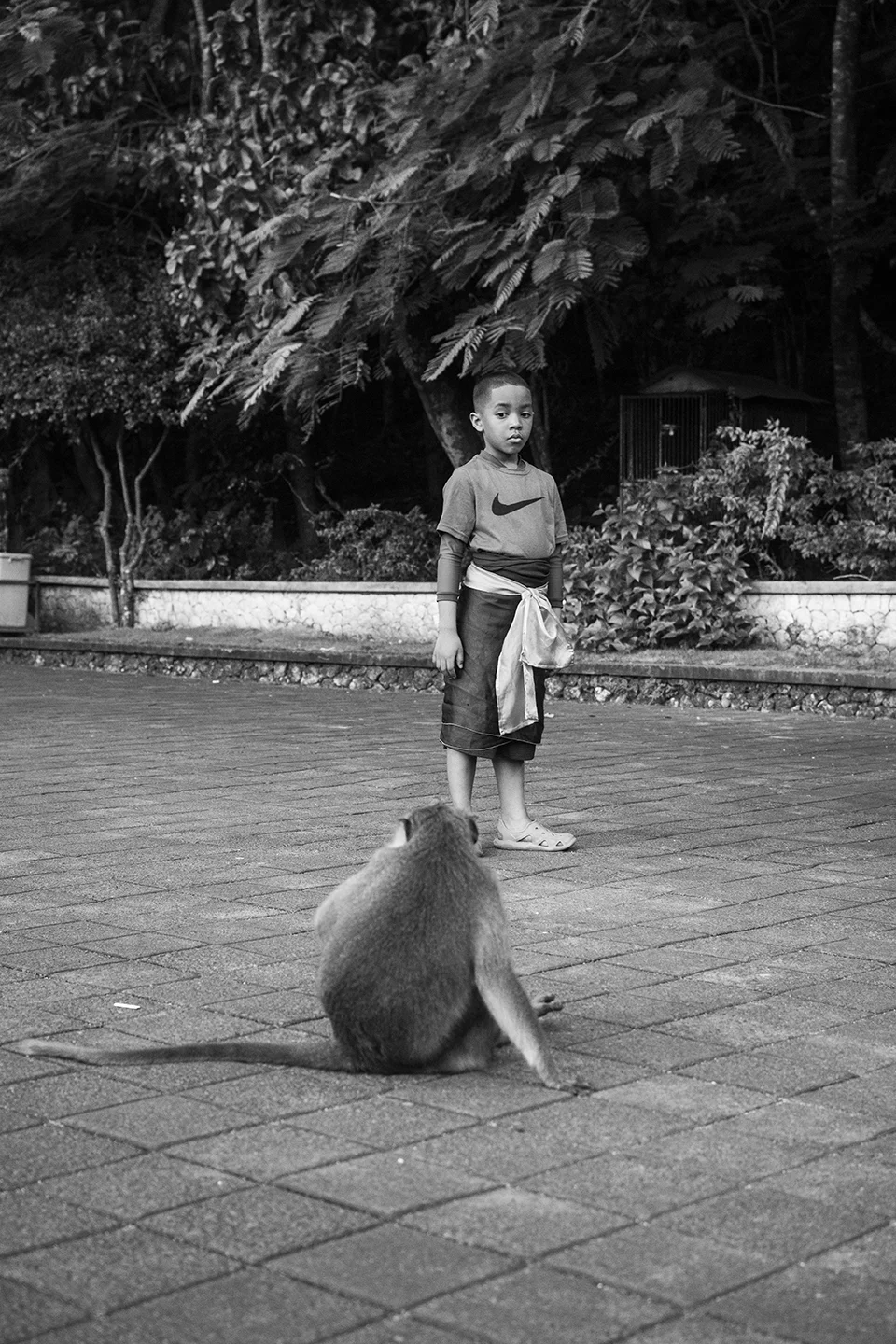 _DSC7829 by Fran Miller.jpg