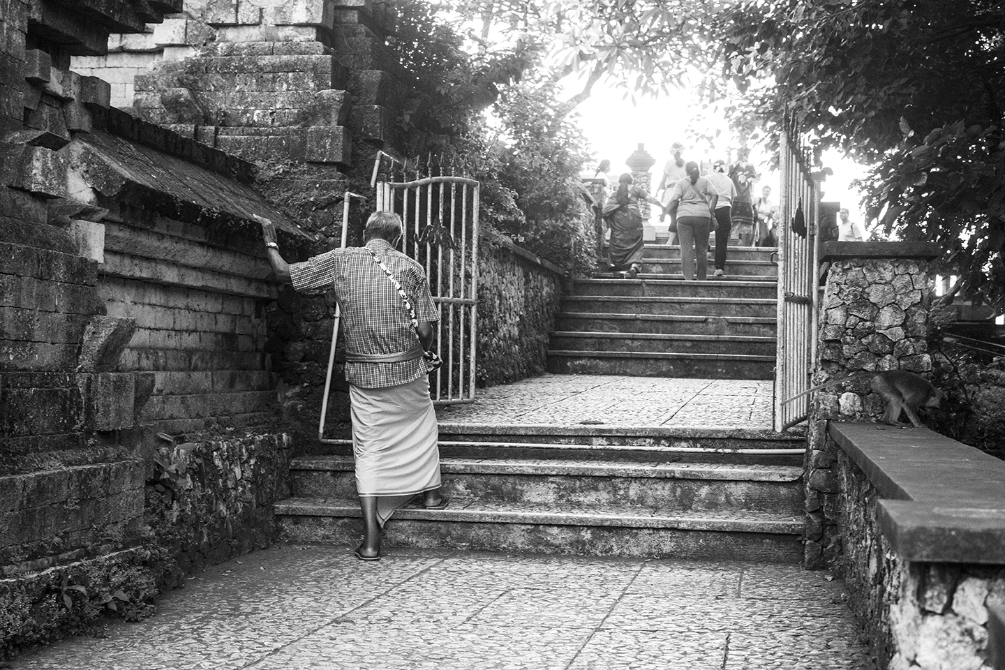 _DSC7823 by Fran Miller.jpg