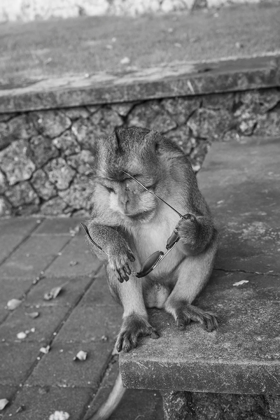 _DSC7779 by Fran Miller.jpg