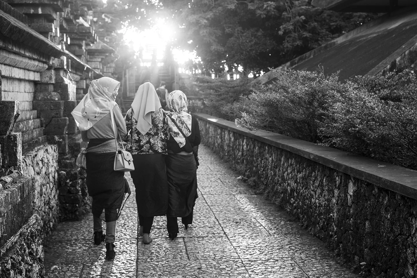 _DSC7782 by Fran Miller.jpg