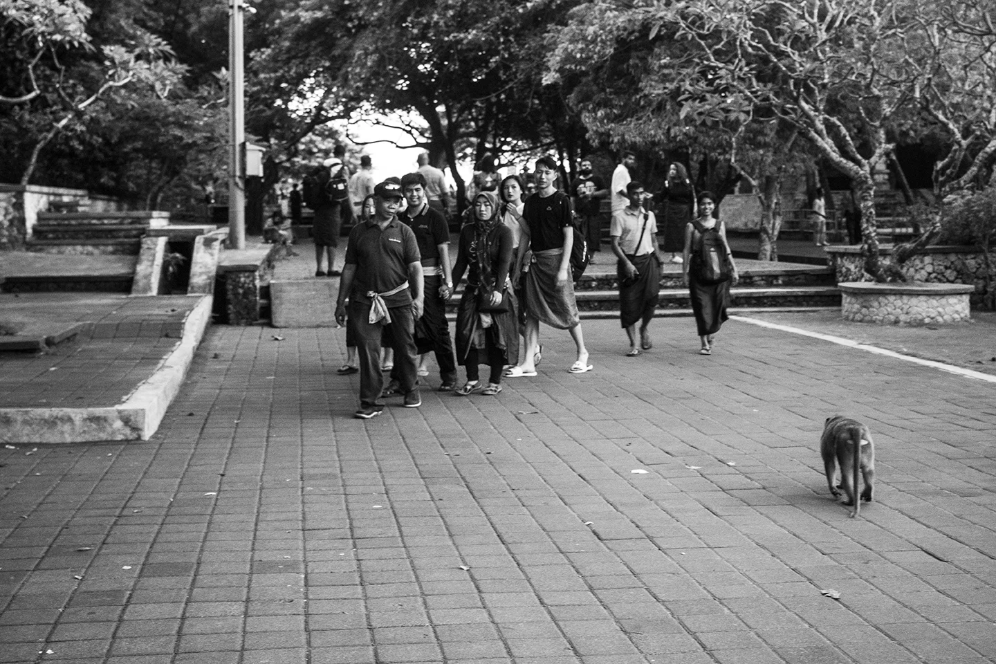 _DSC7832 by Fran Miller.jpg