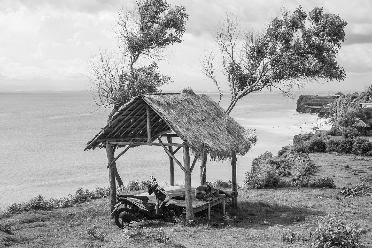 _DSC7955 by Fran Miller.jpg