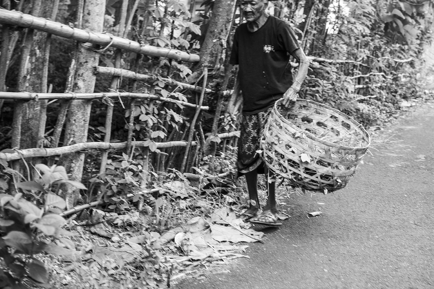 _DSC7899 by Fran Miller.jpg