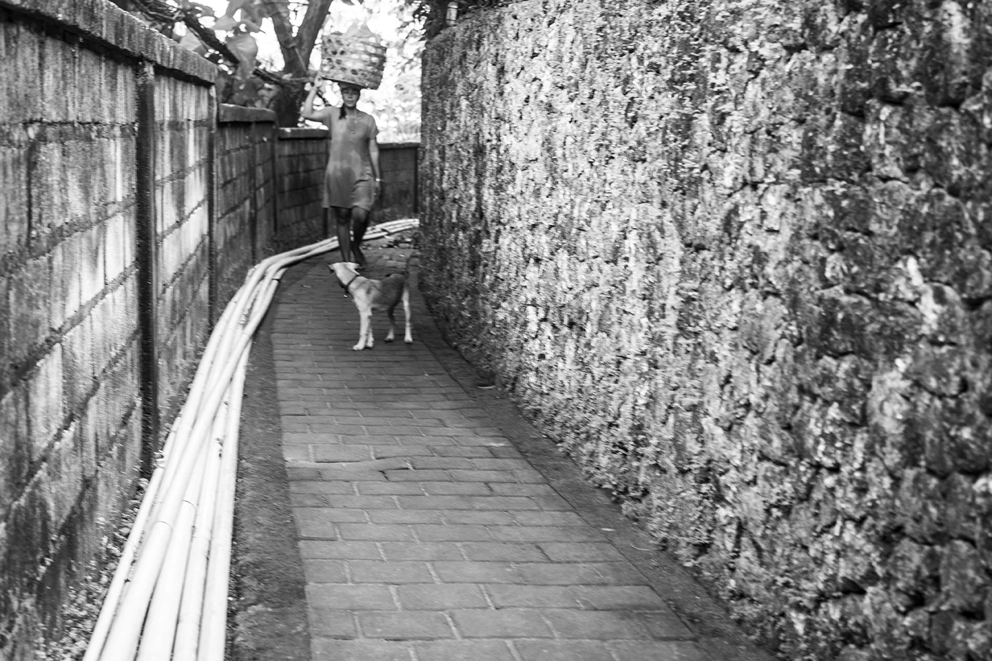 _DSC7903 by Fran Miller.jpg