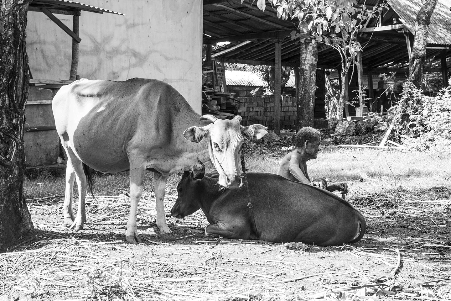 _DSC7957 by Fran Miller.jpg