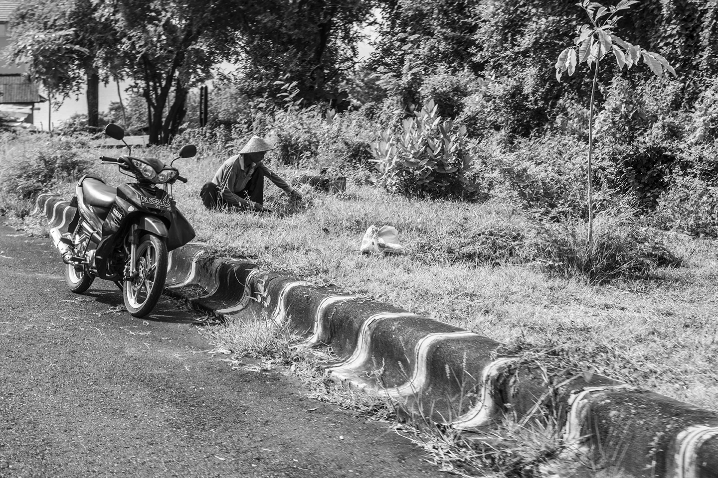 _DSC7966 by Fran Miller.jpg