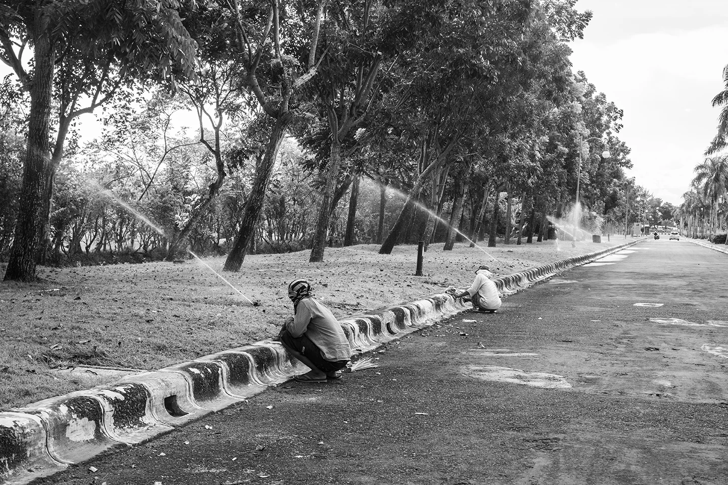 _DSC7963 by Fran Miller.jpg