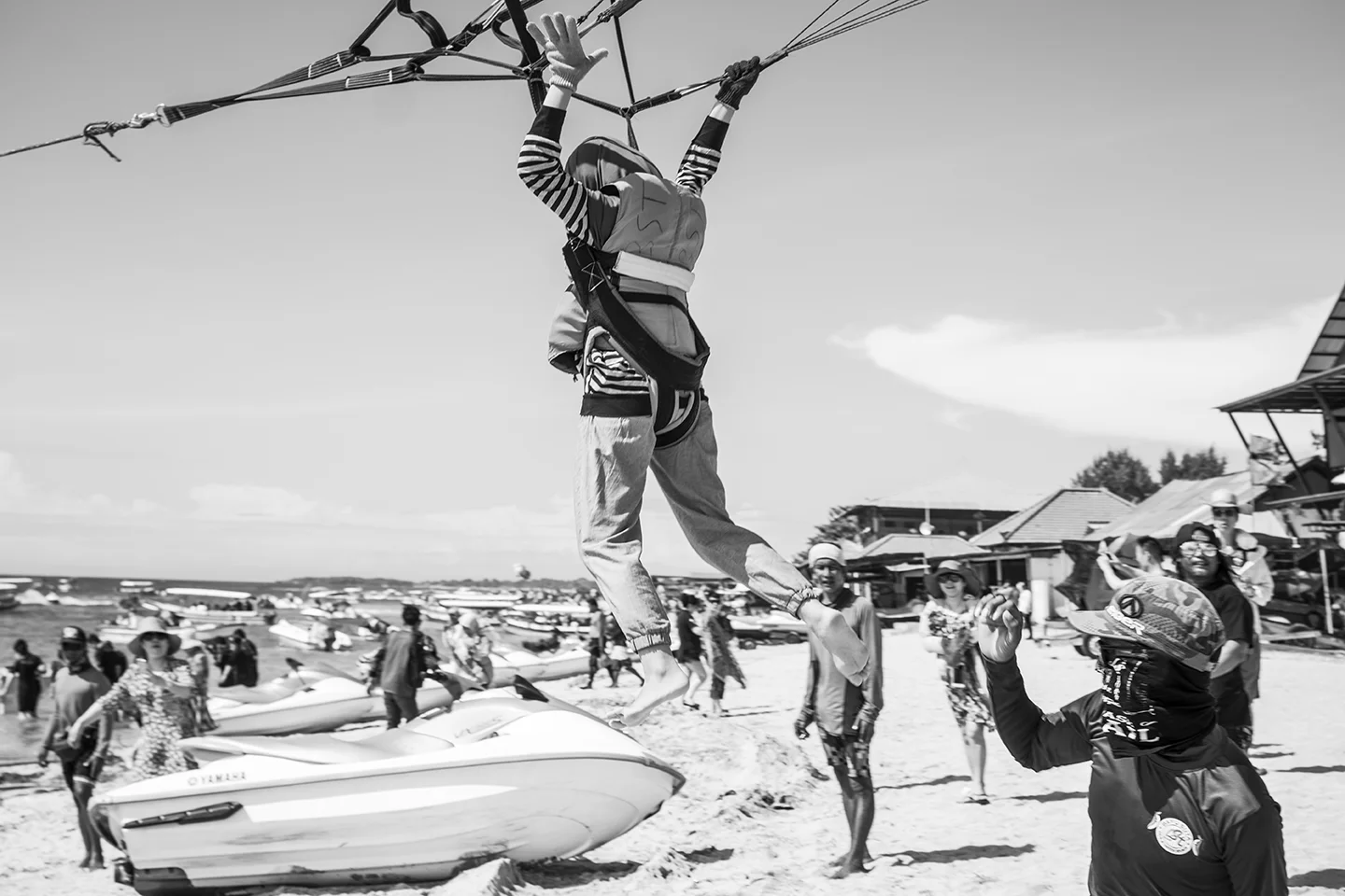 _DSC8386 by Fran Miller.jpg