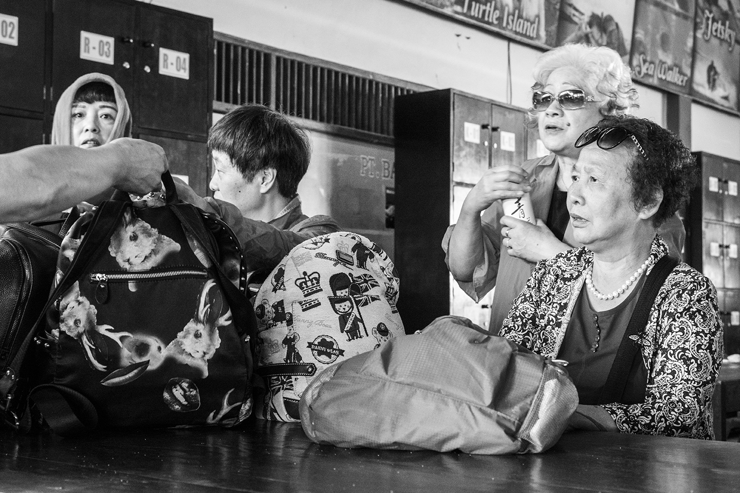 _DSC8452 by Fran Miller.jpg