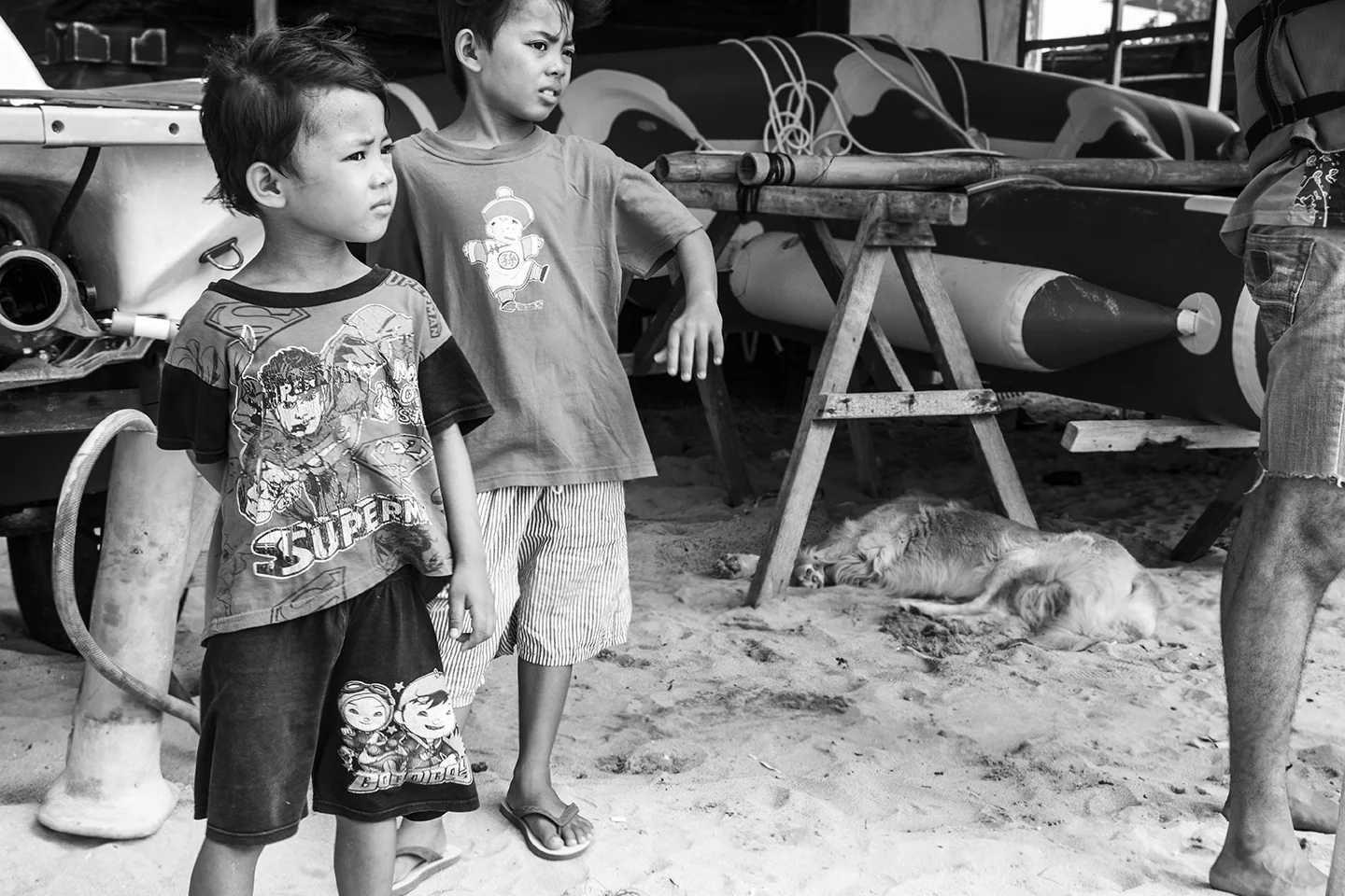 _DSC8504 by Fran Miller.jpg