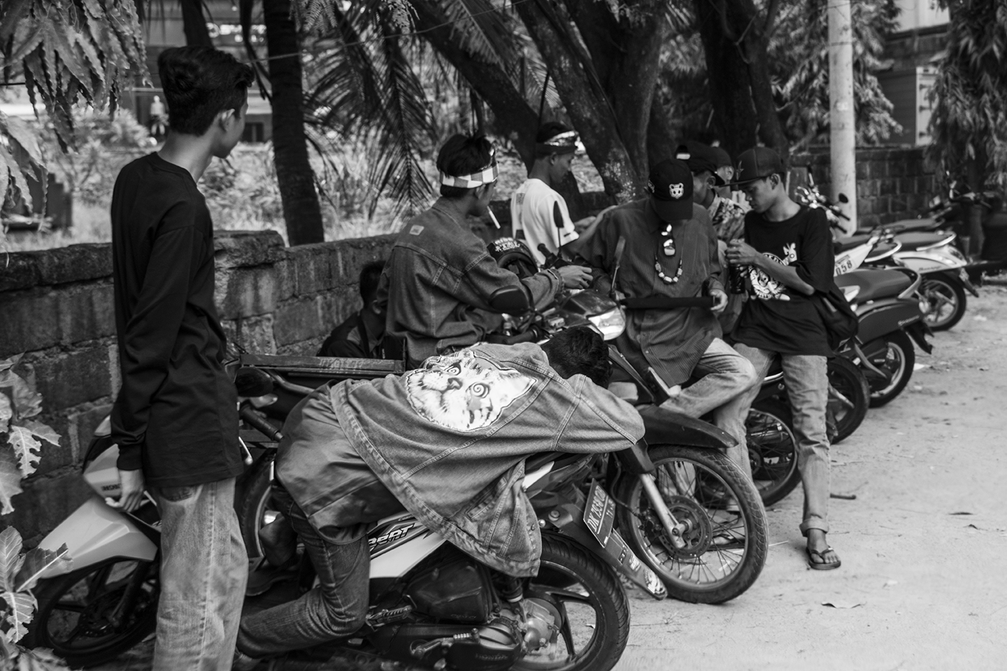 _DSC8573 by Fran Miller.jpg