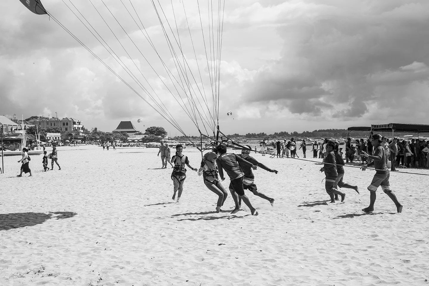 _DSC8462 by Fran Miller.jpg